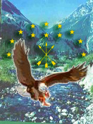 adigekartal